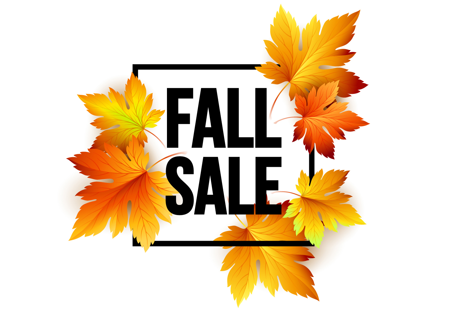 Ultimate Carpet Cleaning Fall Sale 2024